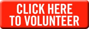 to volunteer link